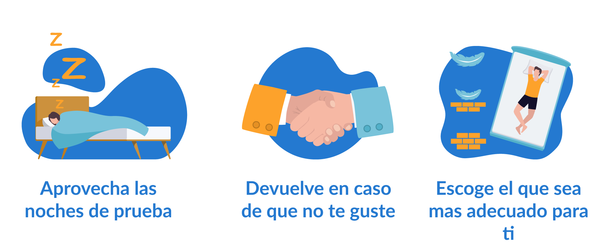 Garantia y devolucion en colchones